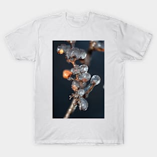 Ice Grapes T-Shirt